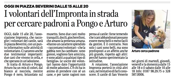 Il nostro banchetto in Piazza Beverino con Pongo ed Arturo raccontato in questo articolo su Il Secolo XIX.
 
Per agevolarne la lettura  riportiamo qui sotto il contenuto dell’articolo in maniera integrale:
 
I volontari dell’Impronta in strada per cercare i padroni di Pongo e Arturo
Oggi, dalle 15 alle 20, l’associazione Impronta, che raccoglie i volontari del canile, sarà in piazza Beverini, con un punto informativo sulle attività di volontariato. Ci saranno anche due testimonial importanti: due cani che vivono in cella, e che sperano in un’adozione.
SI tratta di Arturo e Pongo. Arturo ha un mix di colori, dal bianco al nocciola, mentre Pongo è nero, brizzolato sul musetto.
Sono due cani molto tranquilli, docili, giocherelloni, che amano la presenza umana.
«Hanno un carattere splendido – raccontano i volontari – che la gabbia non ha cambiato: sono gioiosi, vogliono fare amicizia, e sono adatti a qualsiasi tipo di famiglia».
Le uscite dei volontari hanno dato l’opportunità di molte adozioni. C’è chi ha in animo di prendere con sé un cane, e per tante ragioni non pensa al canile. Forse temendo che i cani abbandonati possano essere meno belli o meno facili da gestire.
È il contrario. Non solo i cani sono belli, ma sono predisposti a un affetto anche più grande, rispetto agli altri: perché hanno sperimentato la solitudine.
A rotazione, l’associazione Impronta porterà in città altri cani, nel tentativo di farli conoscere.